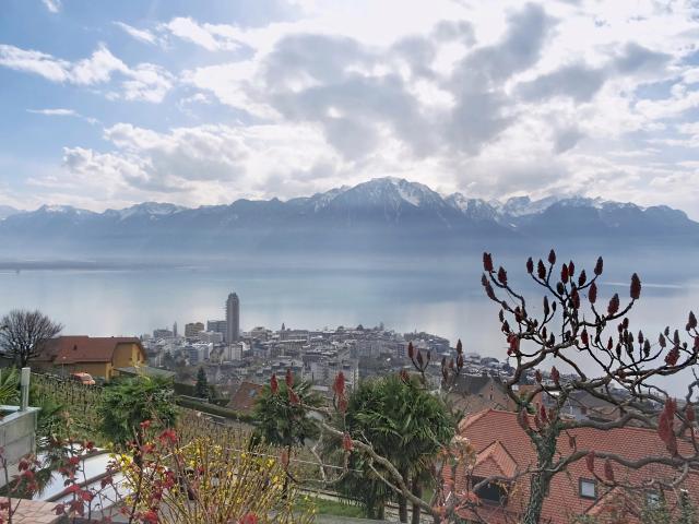Haus mieten in Chailly-Montreux, Waadt