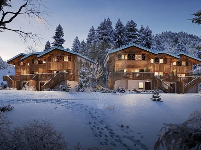 Appartement vente à Thonon-les-Bains, Montriond