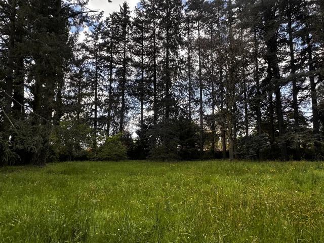 Terrain vente à Montbrison, Montrond-les-bains