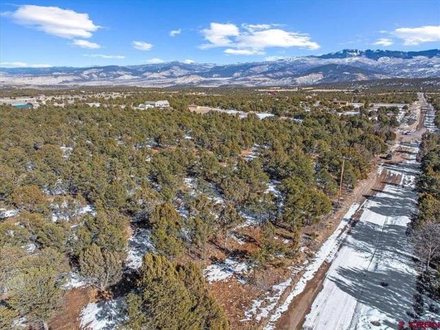 Land for sale in Montrose, Colorado