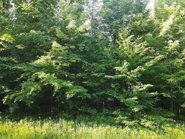 Land for sale in Mancelona, Michigan