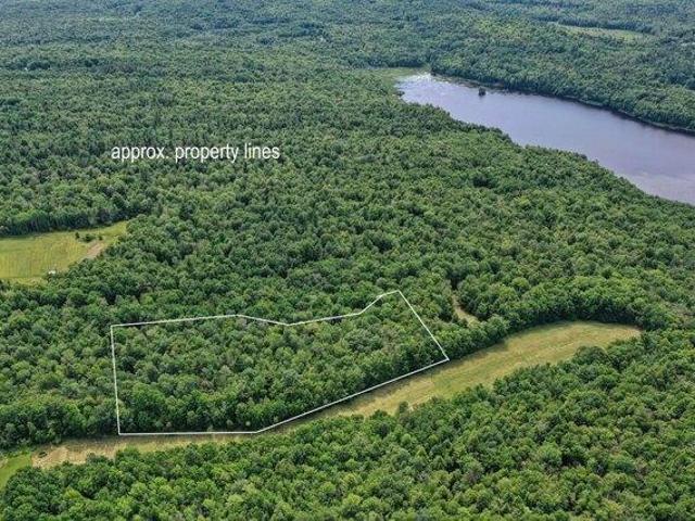 Land for sale in Waldo, Maine
