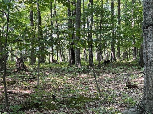 Land for sale in Sturgeon Bay, Wisconsin
