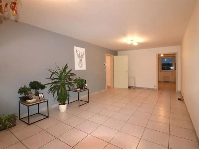 Appartement location à Montaigu-zichem, Brabant