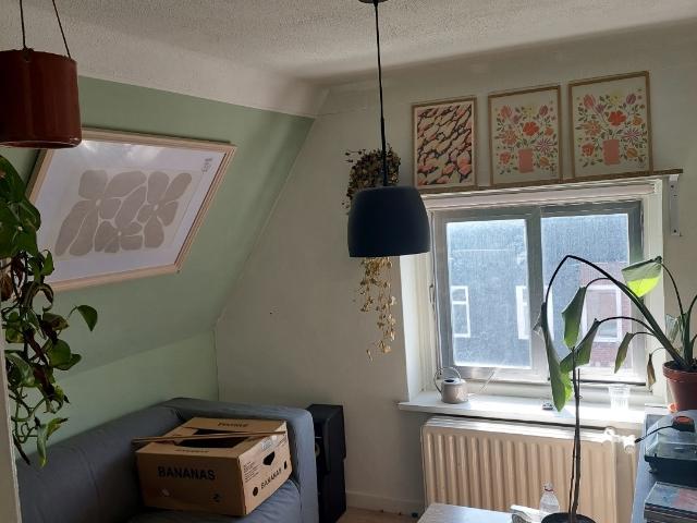 Kamer te huur in Oud-Noord, Tilburg