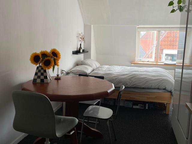 Kamer te huur in Binnenstad en Stationskwartier, Leeuwarden