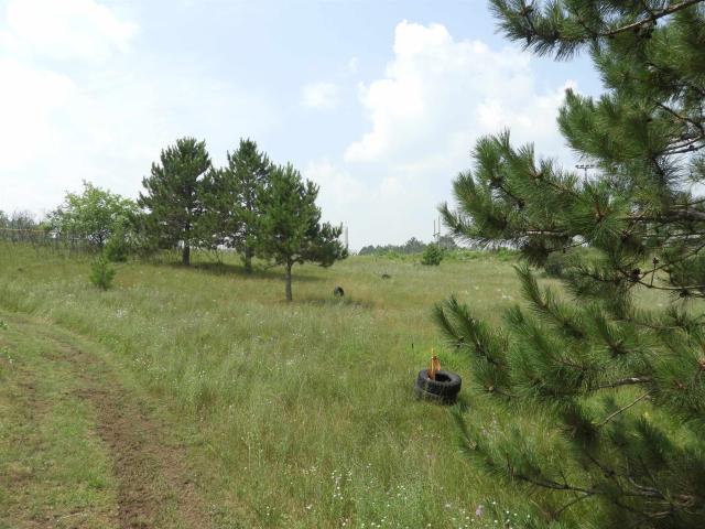 Land for sale in Iron River, Wisconsin