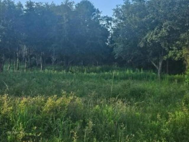 Land for sale in Eutawville Land for sale in Eutawville