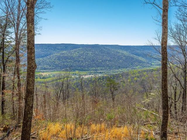 Land for sale in Jasper, East Tennessee