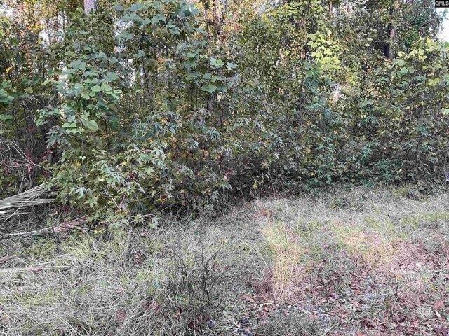 Land for sale in Barnwell