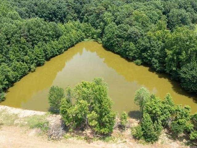 Land for sale in Danielsville, Georgia