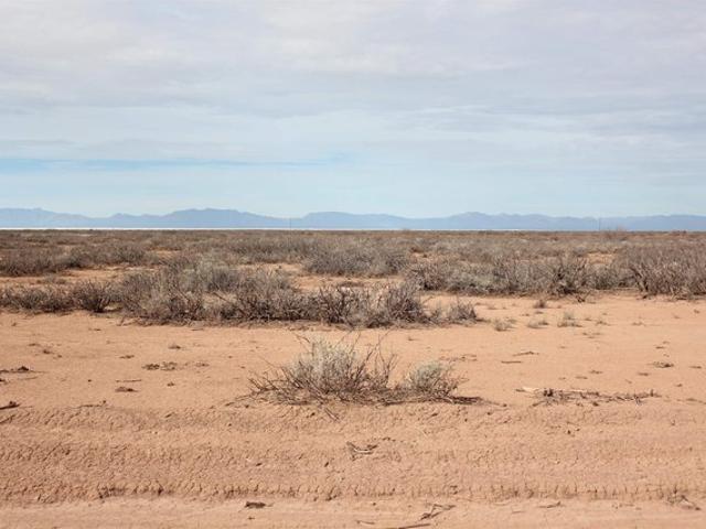 Land for sale in New Mexico