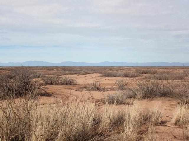 Land for sale in New Mexico