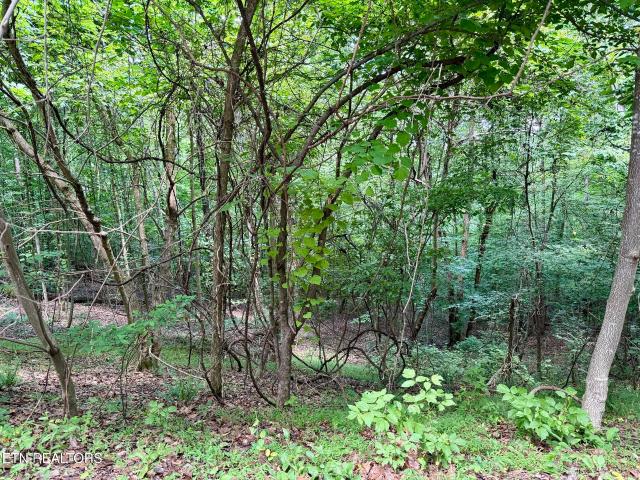 Land for sale in Tennessee