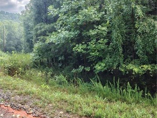 Land for sale in Virginia