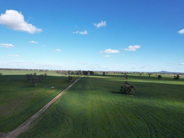 Cottage for sale in Bedgerabong, New South Wales