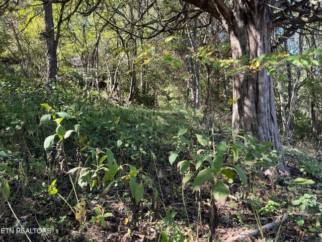 Land for sale in Tennessee