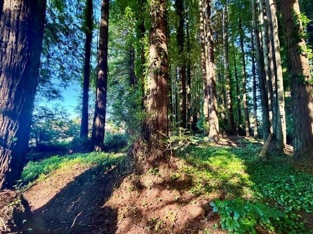 Condo for rent in Humboldt, California