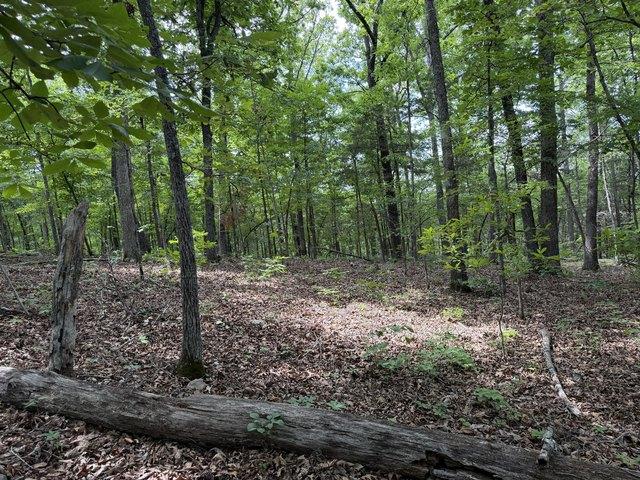 Land for sale in Cedarcreek, Missouri
