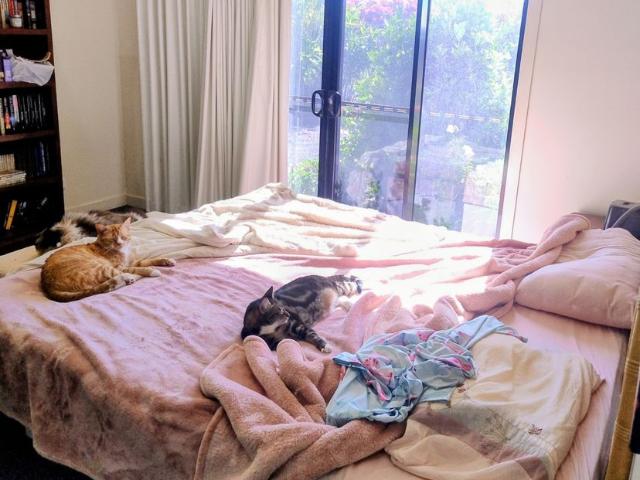 Room for rent in Banyan, Queensland