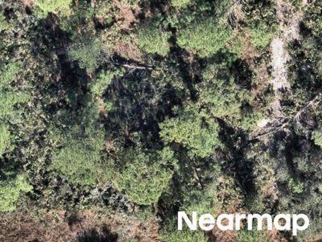 Land for sale in Lake Placid, Florida