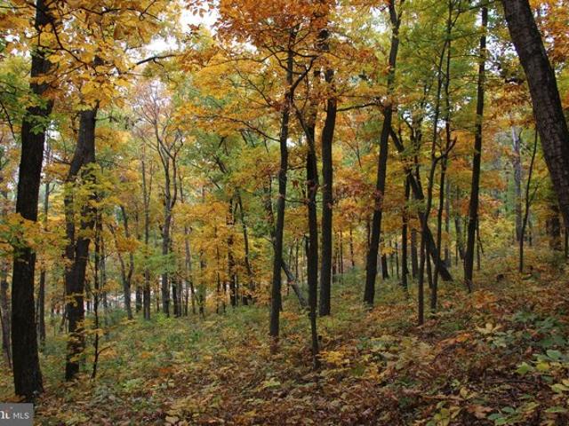 Land for sale in Virginia