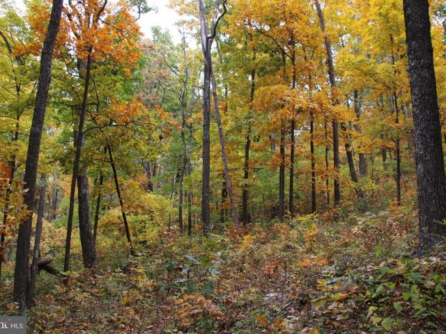 Land for sale in Virginia