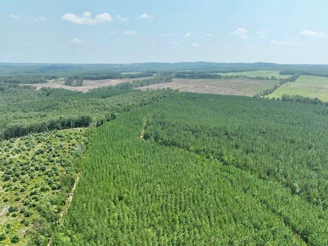 Farm for sale in Virginia