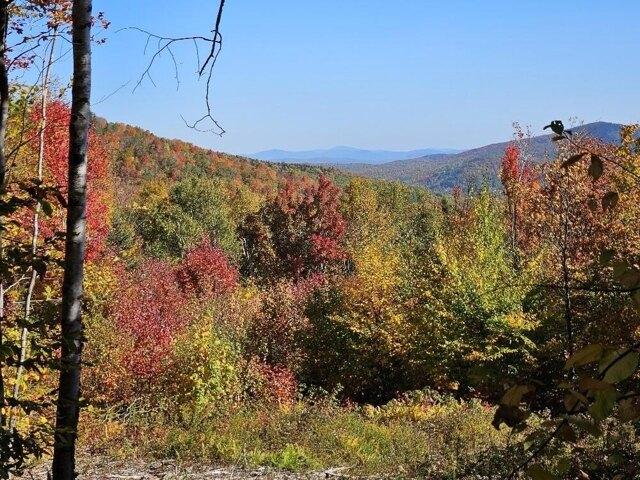 Land for sale in Temple, Maine