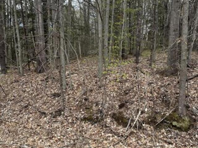 Land for sale in Livermore Falls, Maine