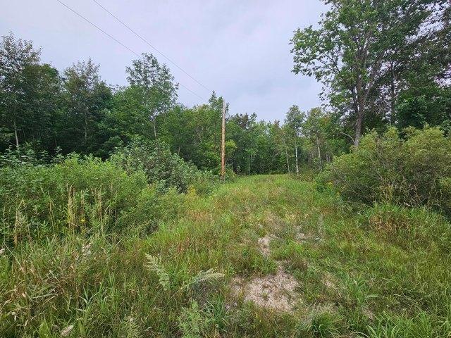 Land for sale in Grygla, Minnesota