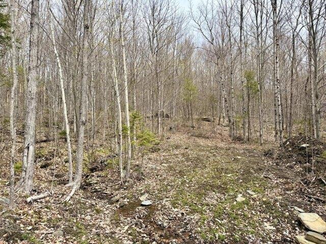 Land for sale in Phillips, Maine