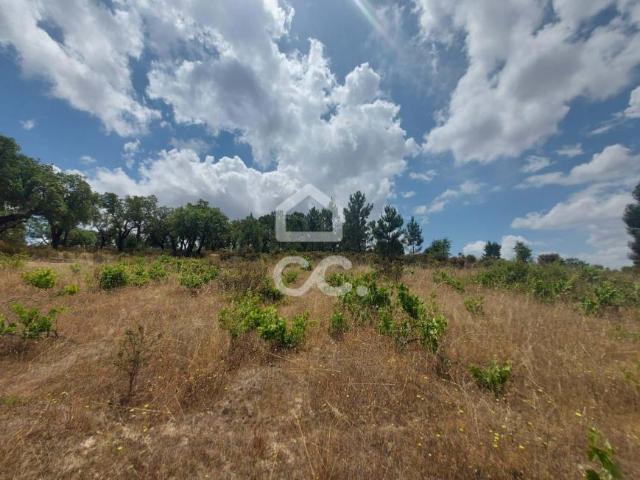 Terreno venda em Mora, Évora