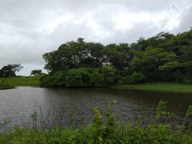 Sítio e chácara venda em Região Geográfica Imediata de Abaeté, Morada Nova de Minas