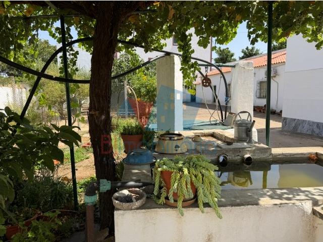 Casa venda em Nossa Senhora das Neves, Beja