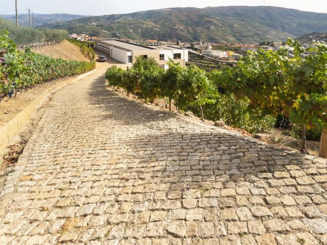 Vivenda venda em Baião, Porto