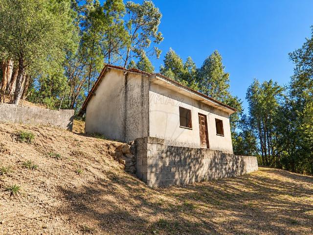 Casa venda em Alvito (São Pedro e São Martinho) e Couto, Barcelos
