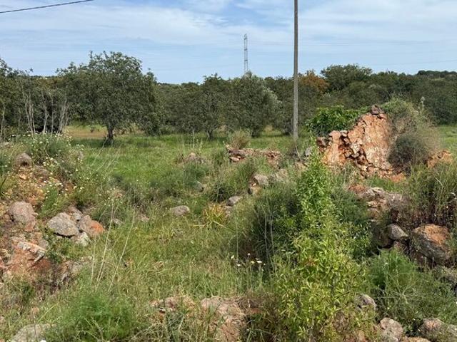 Casa venda em São Bartolomeu De Messines, Faro