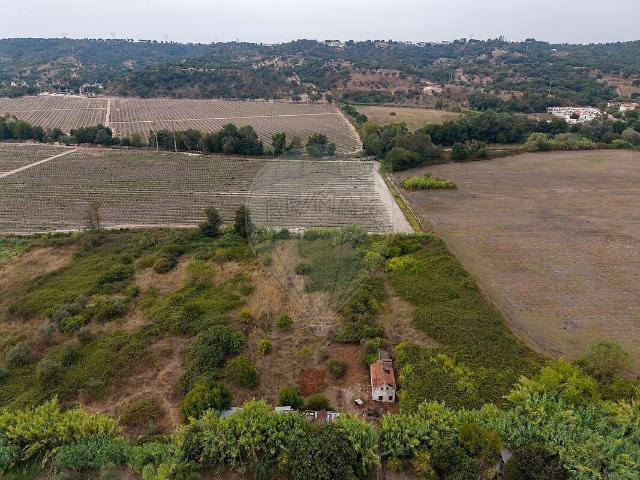 Casa venda em São Miguel do Rio Torto e Rossio ao Sul do Tejo, Abrantes