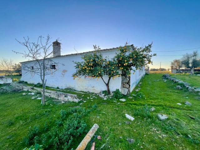 Quinta venda em Redondo, Évora