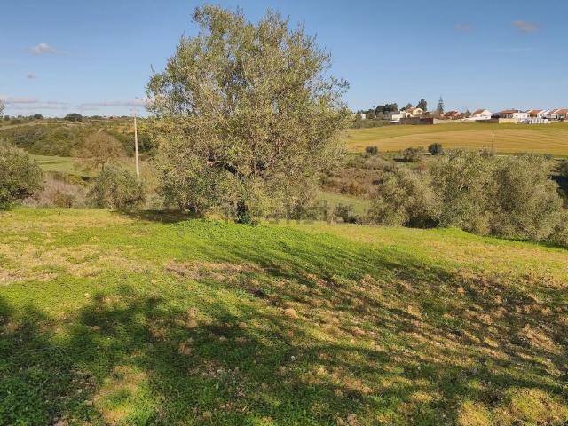 Casa venda em Santarém