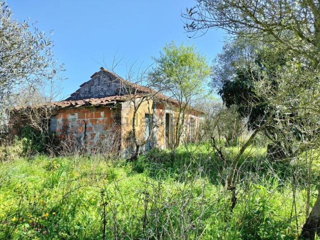 Casa venda em Santarém