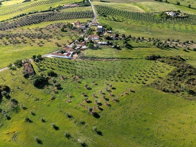 Casa venda em Arneiro dos Borralhos, Santarém