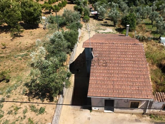 Casa venda em Rego Da Murta, Santarém