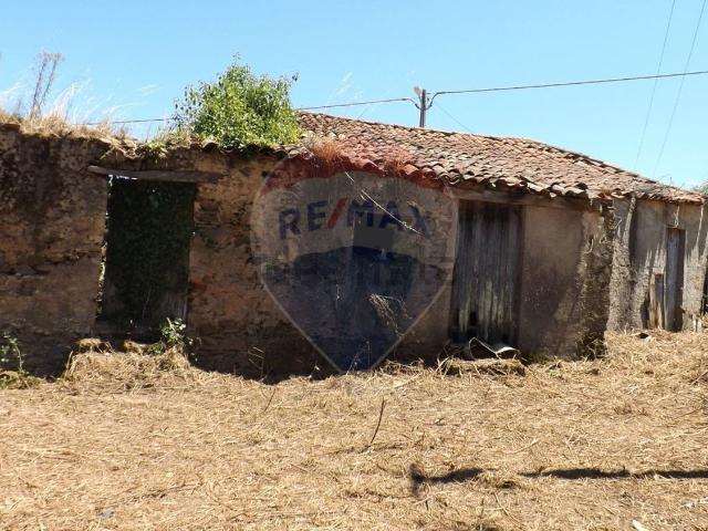 Casa venda em Rego Da Murta, Santarém