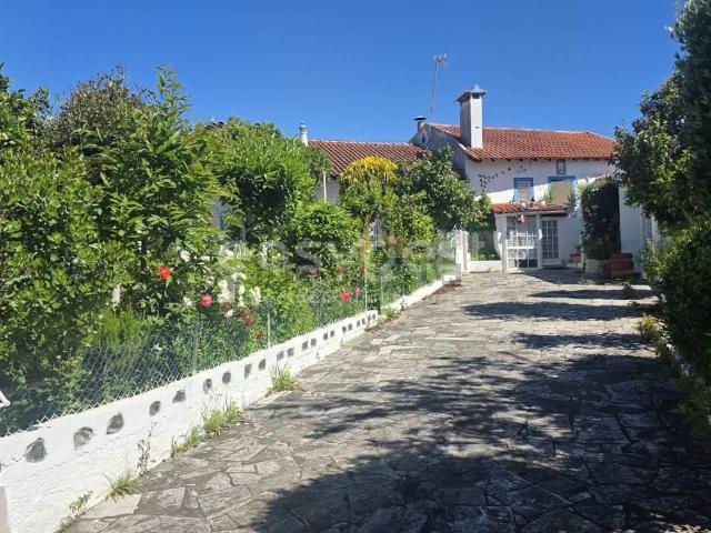 Casa venda em Rego Da Murta, Santarém