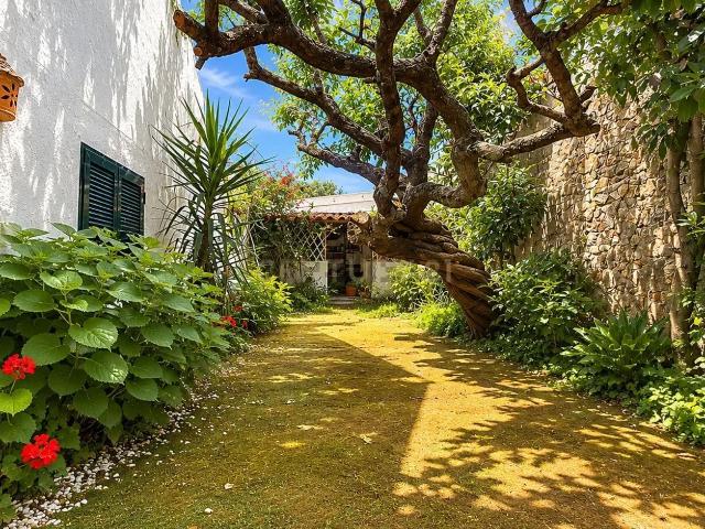 Casa venda em Porto, Aldoar
