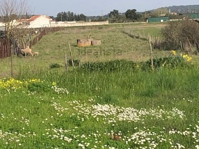 Casa venda em Alpiarça, Santarém