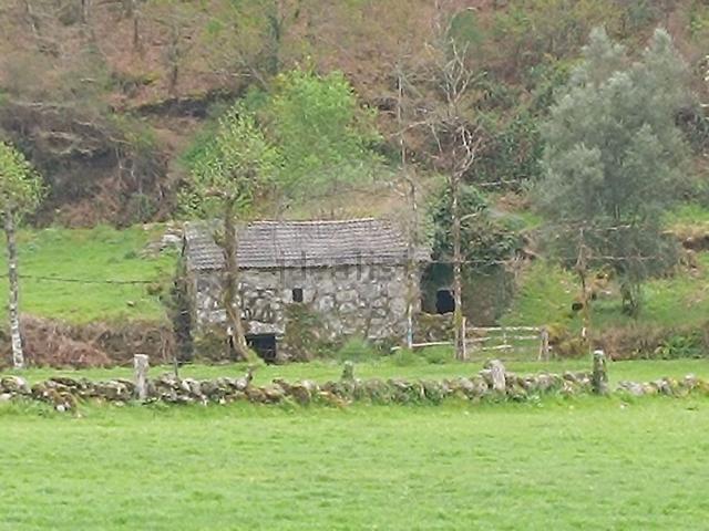 Casa venda em Parada Do Bouro, Braga