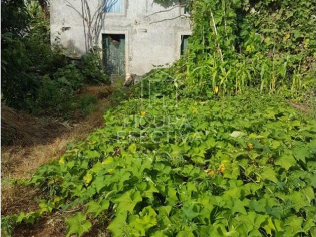 Casa venda em Ilha Da Madeira